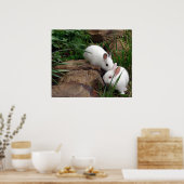 バニー・ウィスパー ポスター (キッチン)