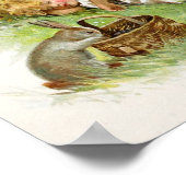 バニー・ウサギの眠りと夢 ポスター (角)