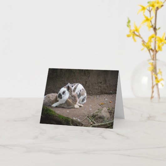 バニー カード (黄色い花)