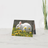 バニー カード (裏面)