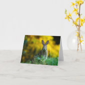 バニー カード (黄色い花)