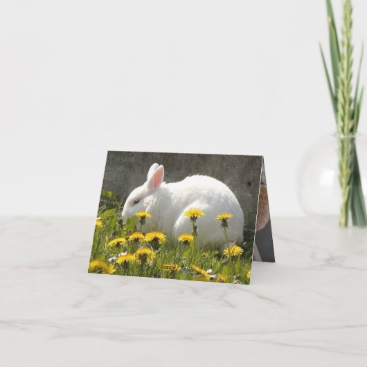 バニー カード (裏面)