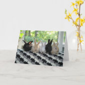 バニー カード (黄色い花)