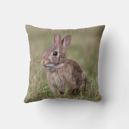 バニー クッション (裏面)