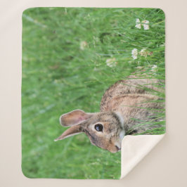 バニー シェルパブランケット