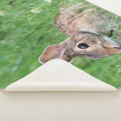 バニー シェルパブランケット (3/4)