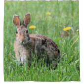 バニー シャワーカーテン (正面)