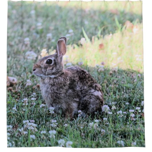 バニー シャワーカーテン (正面)