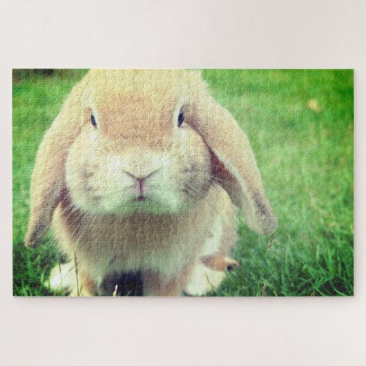 バニー ジグソーパズル (横)