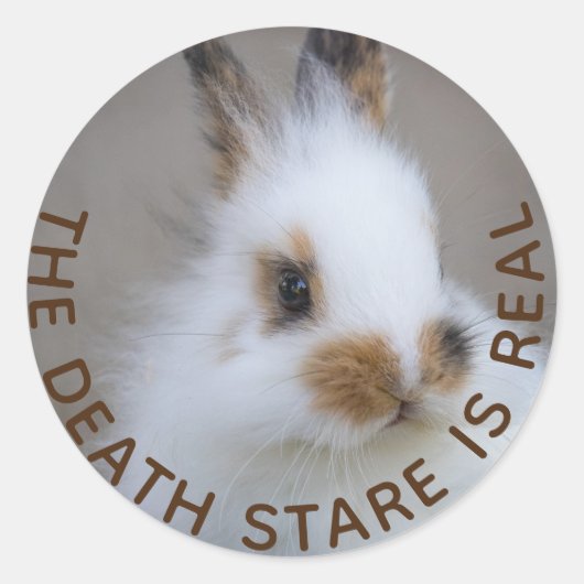 バニー・デス・スタイ実在ルだ!独自の写真を追加 ラウンドシール (正面)