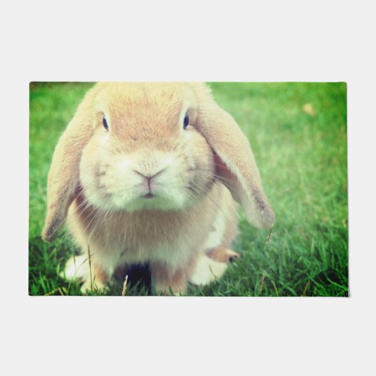 バニー ドアマット (正面)