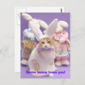 バニー・ババ 3 ポストカード (正面/裏面)