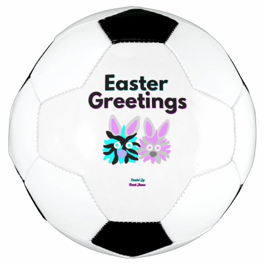 バニー・フッツィーズ・サッカーボール サッカーボール (正面)