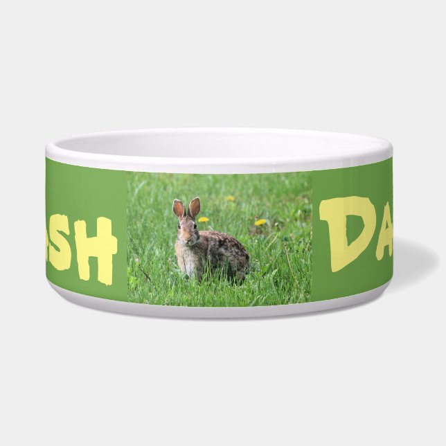 バニー ボウル (正面)