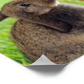 バニー ポスター (角)