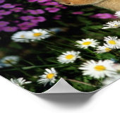 バニー ポスター (角)