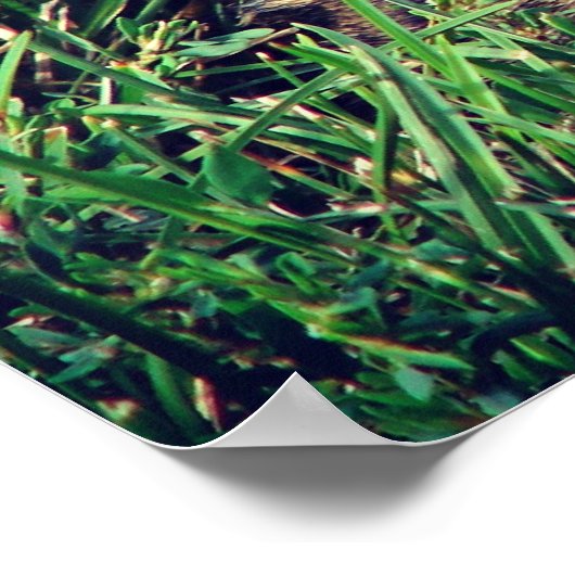 バニー ポスター (角)