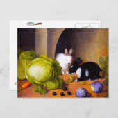 バニー ポストカード (正面/裏面)