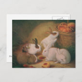 バニー ポストカード (正面/裏面)