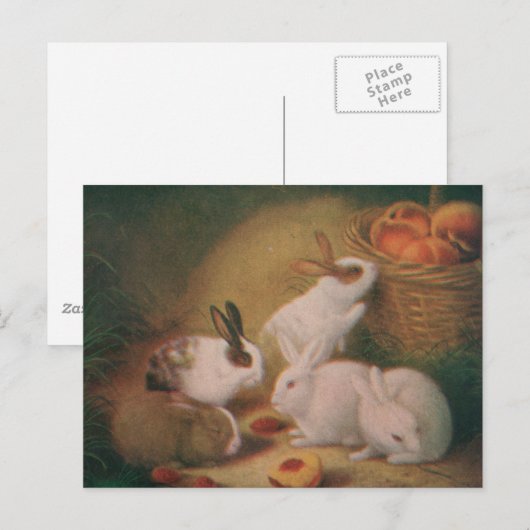 バニー ポストカード (正面/裏面)