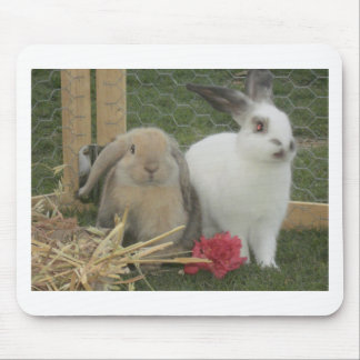 バニー マウスパッド