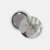 バニー マグネット (正面/裏面)