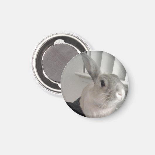 バニー マグネット (正面/裏面)