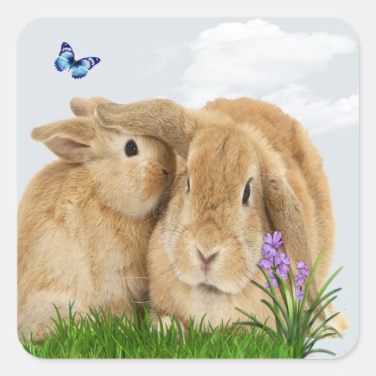 バニー・ラビット スクエアシール (正面)