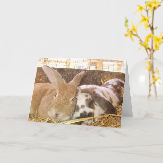 バニー・ラブ カード (黄色い花)