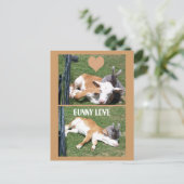 バニー・ラブ・カーフ ポストカード (スタンド正面)