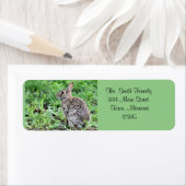 バニー ラベル (インサイチュ)