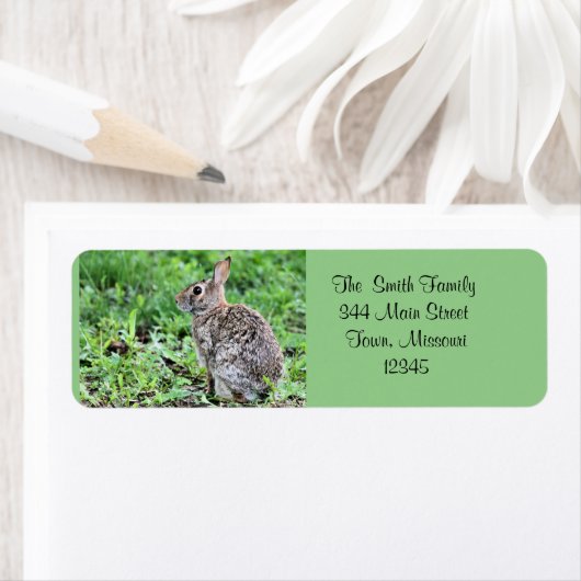 バニー ラベル (インサイチュ)