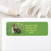 バニー ラベル (インサイチュ)