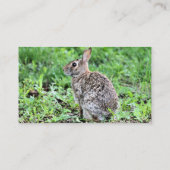 バニー 名刺 (裏面)