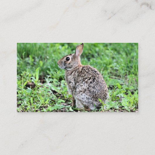 バニー 名刺 (裏面)