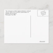 バニー 案内ポストカード (裏面)