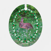 バニー&（鳥）ショウジョウコウカンチョウまたはホリーの写真縁ど