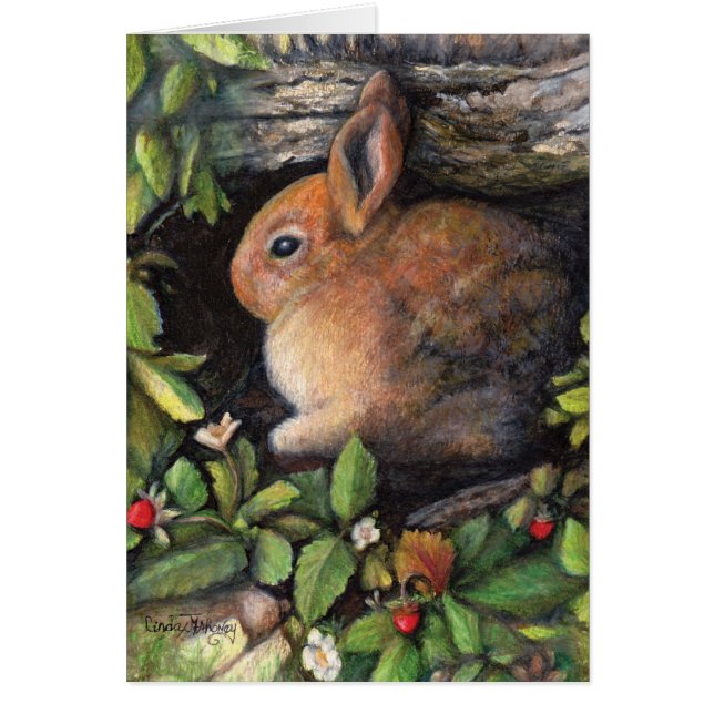 バニー「nの果実 (正面)