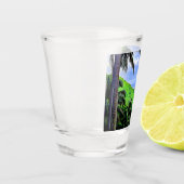 バヌアツ島 ショットグラス (左)