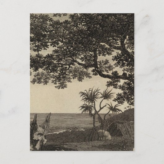 バヌアツ3 ポストカード (正面)