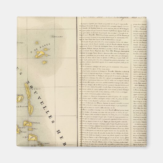 バヌアヌアオセアニアno 39 マグネット (正面)