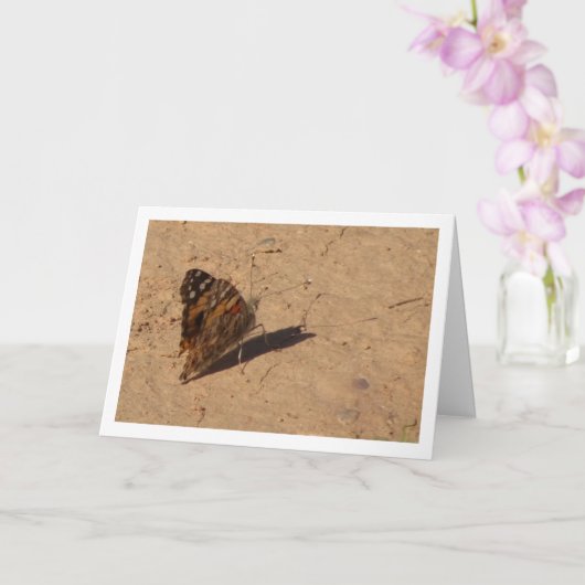 バネッサ·カルデュイ-レデ色彩の鮮やかィ·バタフライ カード (蘭)