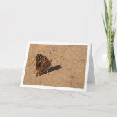 バネッサ·カルデュイ-レデ色彩の鮮やかィ·バタフライ カード (正面)