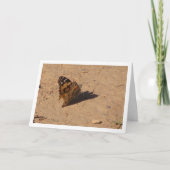 バネッサ·カルデュ色彩の鮮やかイ·レディ·バタフライ·カード カード (正面)