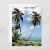 バハイホンダ州パークフロリダ鍵 ポストカード (正面/裏面)