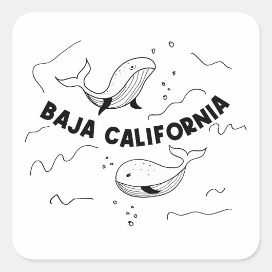 バハカリフォルニアのクジラ スクエアシール (正面)
