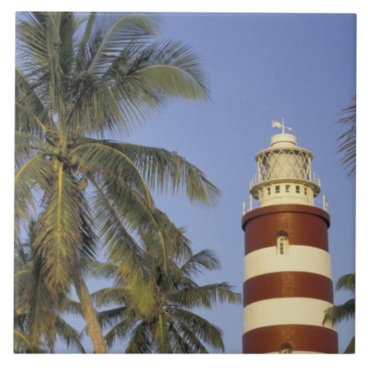 バハカリブのマ、アバコ、エルボー・ケイ。ホペタウン タイル (正面)