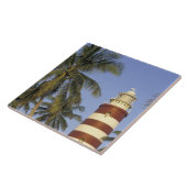 バハカリブのマ、アバコ、エルボー・ケイ。ホペタウン タイル (側面)