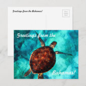 バハマからのご挨拶 ポストカード (正面/裏面)