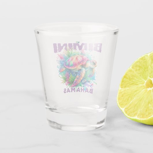 バハマのお土産ギフト:ビミニバハマウミガメ ショットグラス (裏面)